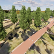 Recuperación el pinar