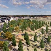 Recuperación el pinar