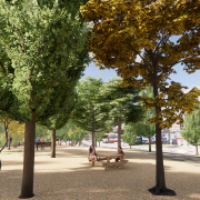 Recuperación el pinar