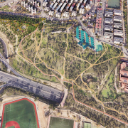 Recuperación el pinar